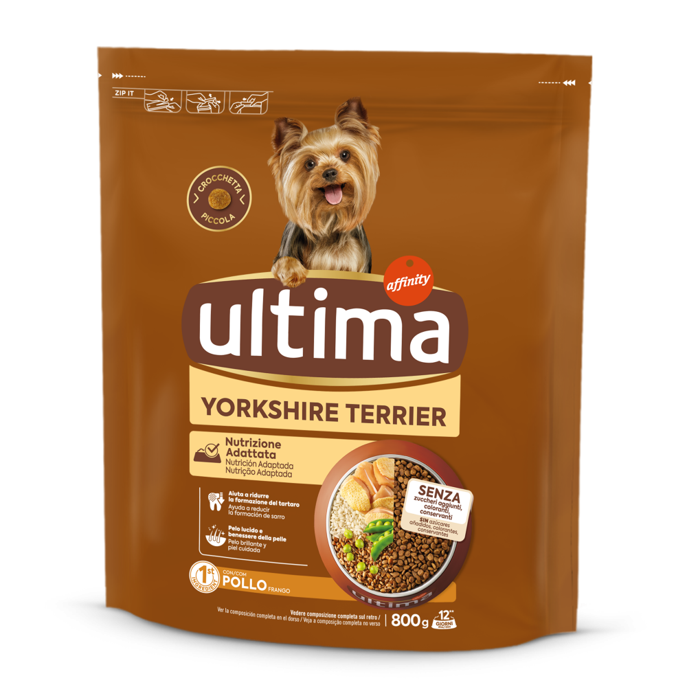 Taglia Piccola Yorkshire Terrier con Pollo