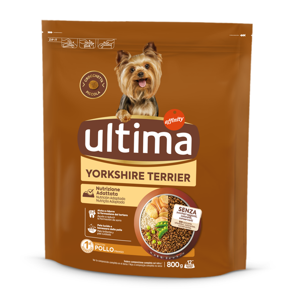 Taglia Piccola Yorkshire Terrier con Pollo