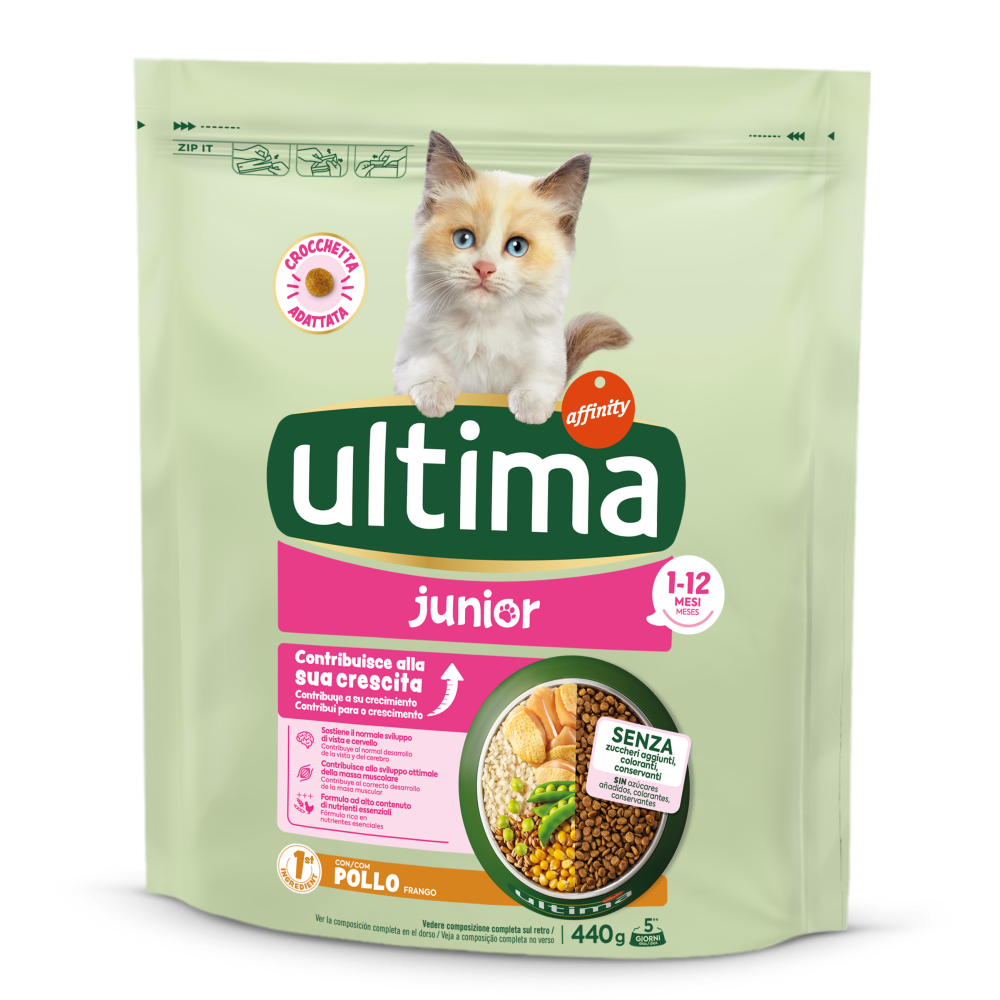 Junior con Pollo