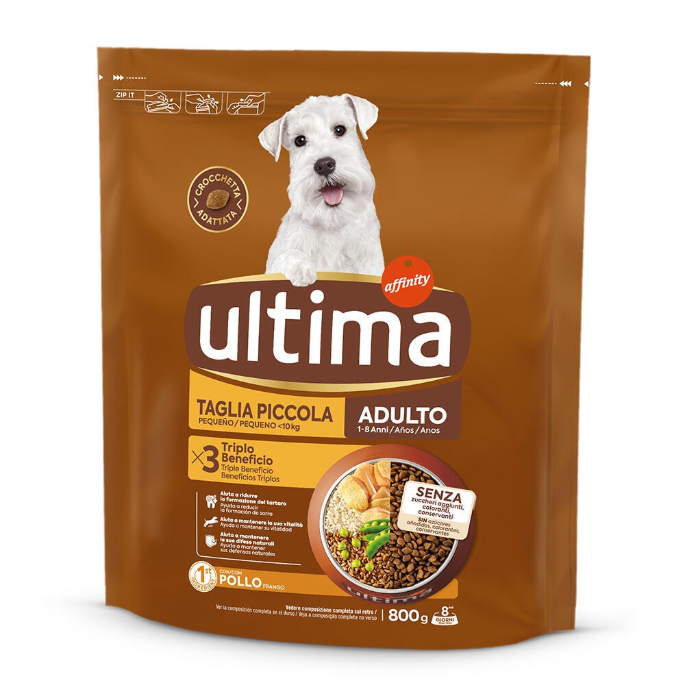 Peque&ntilde;o Adulto con Pollo