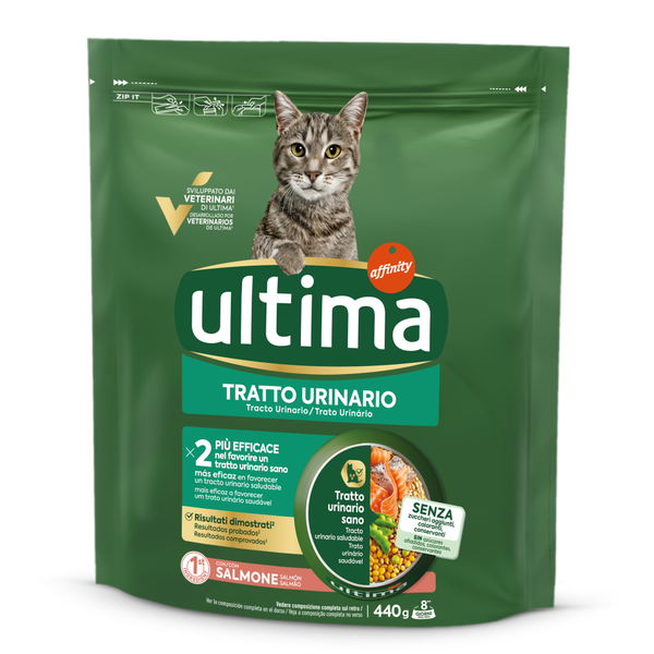 Tratto urinario con Salmone