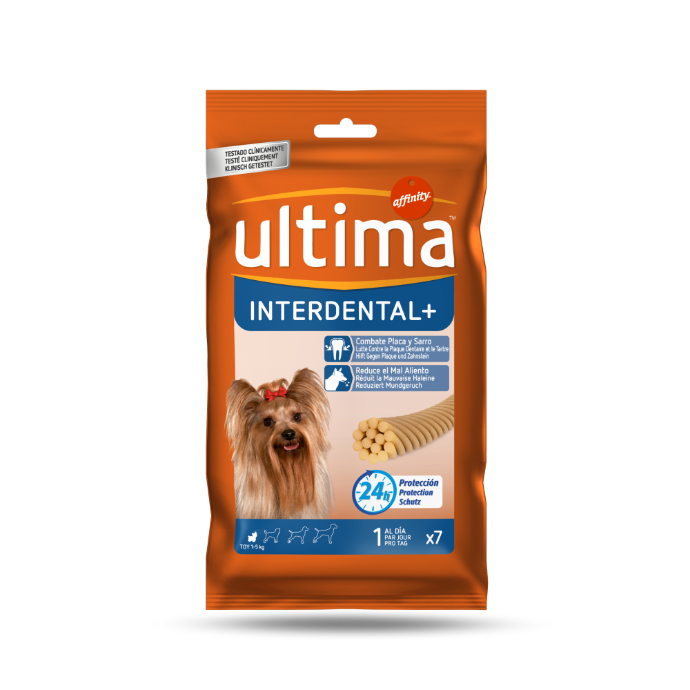 INTERDENTAL + Toy
