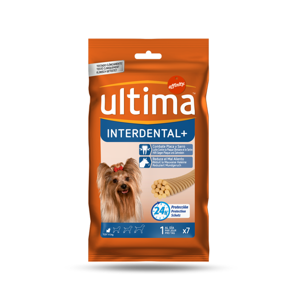 INTERDENTAL + Toy