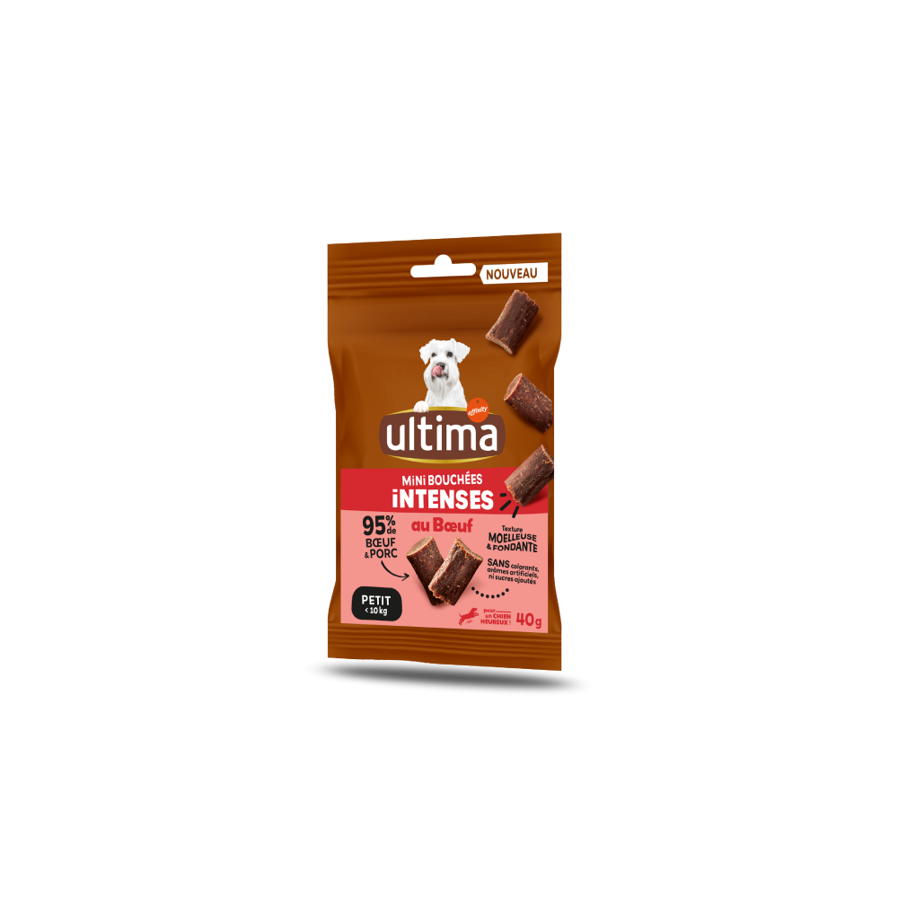 Small Adult Intense Bites Beef
