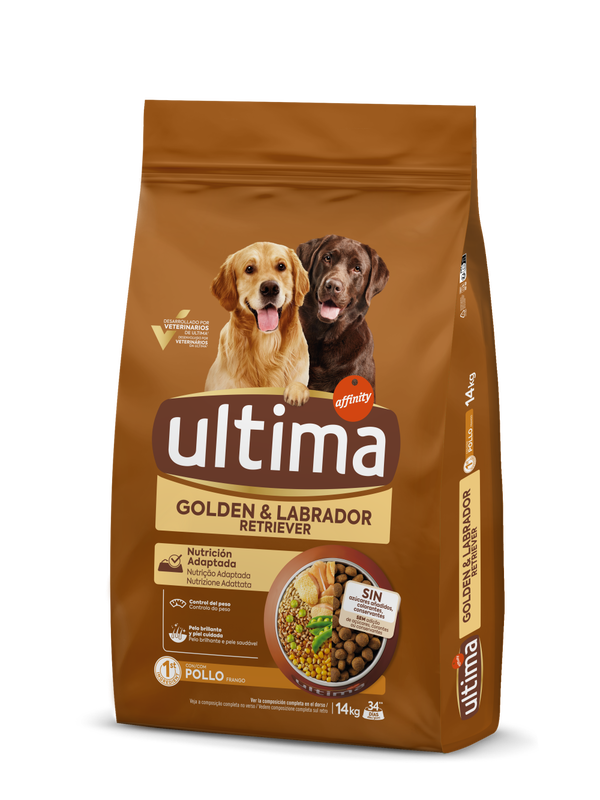 Medium-Maxi Golden & Labrador com Frango