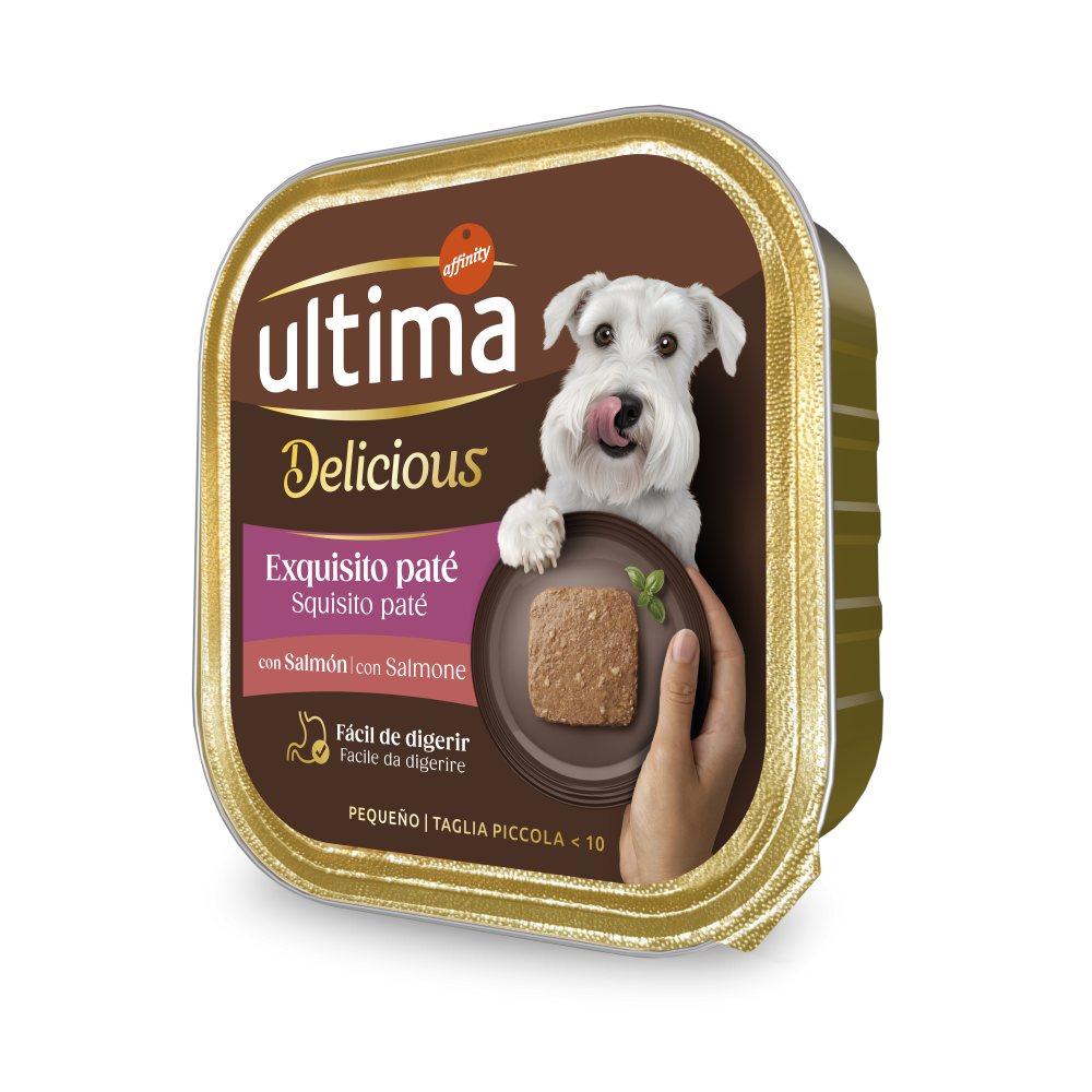 Fit & Delicious Pat&eacute; Pequeno Adulto com Salm&atilde;o