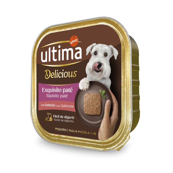 Fit & Delicious Pat&eacute; Taglia Piccola Adulto con Salmone