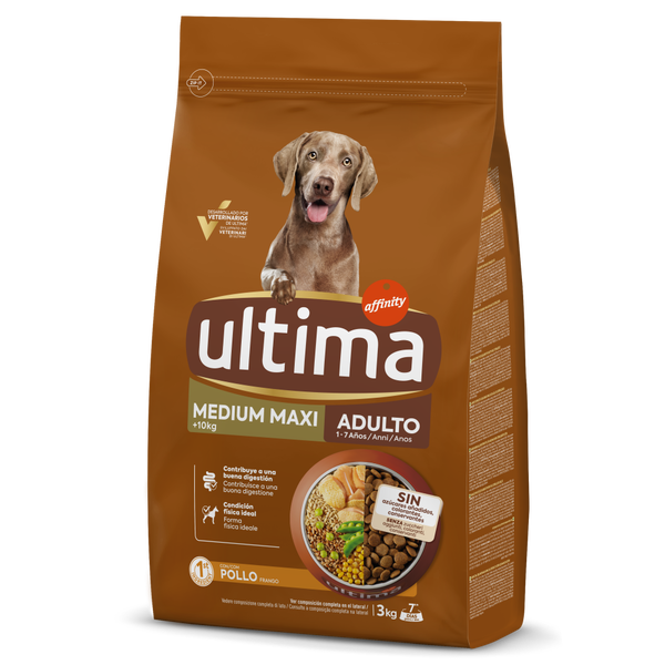 Medium-Maxi Adulto com Frango