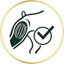 Ajuda a mantenir la seva massa muscular