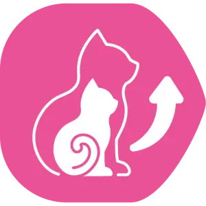 Contribuye al correcto crecimiento del gatito