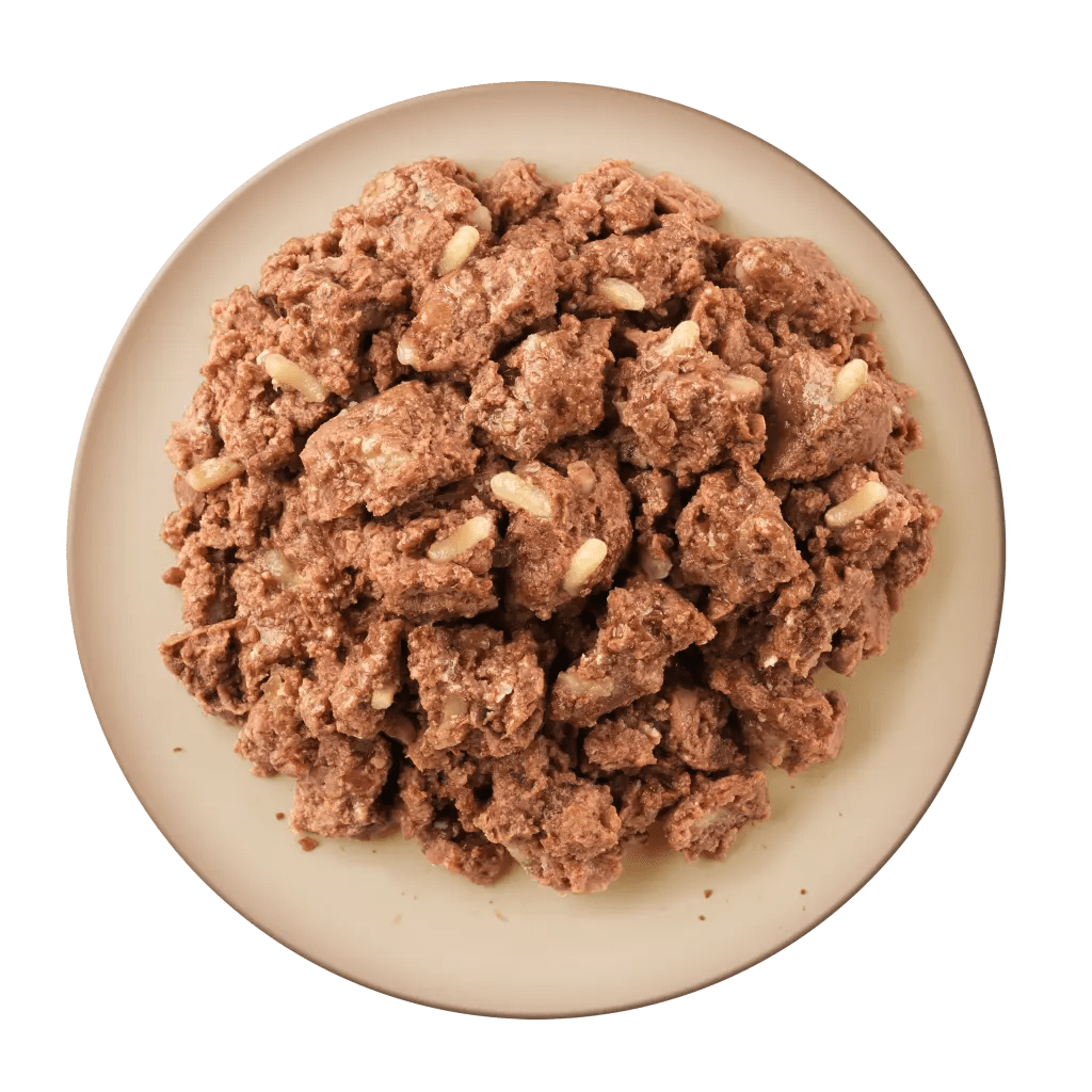 Amb Salm&oacute; i arr&ograve;s