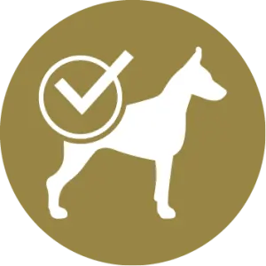 Condici&oacute; f&iacute;sica ideal