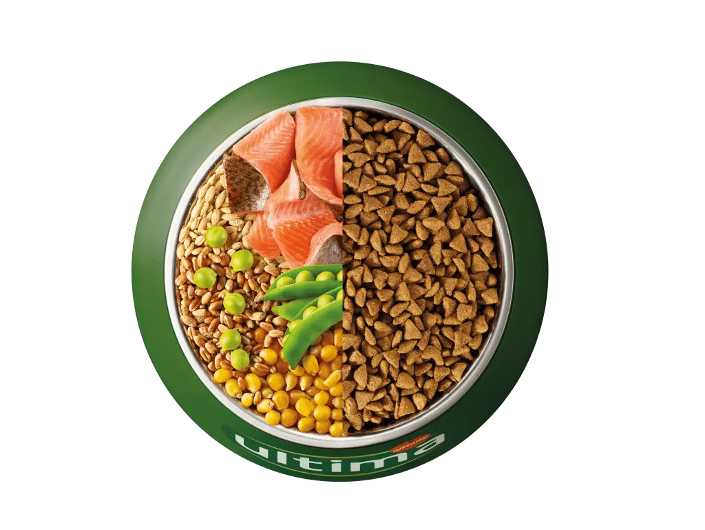 Truita de riu, ordi, cereals integrals i p&egrave;sols