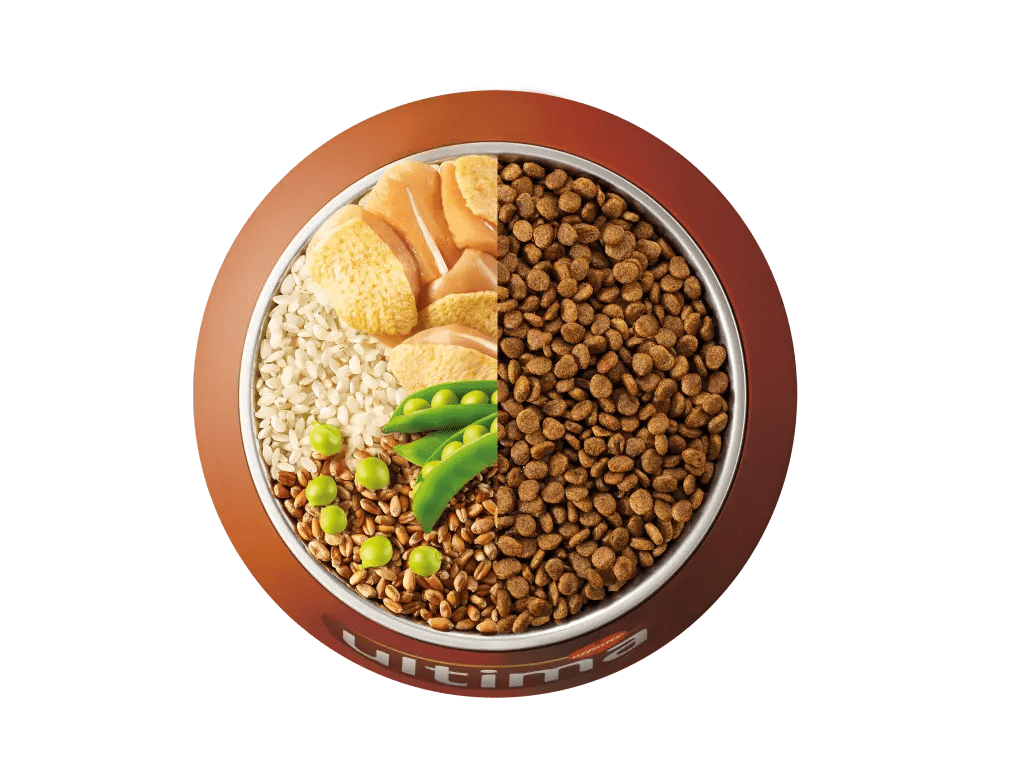 Pollastre, arr&ograve;s, cereals integrals i p&egrave;sols