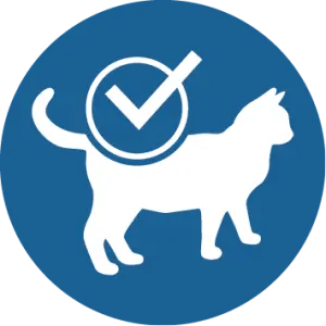 Condici&oacute; corporal ideal