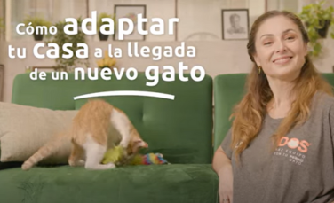 Gatuniza tu casa