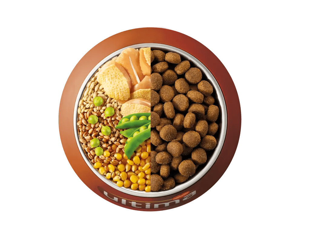 Pollastre, ordi, cereals integrals i p&egrave;sols