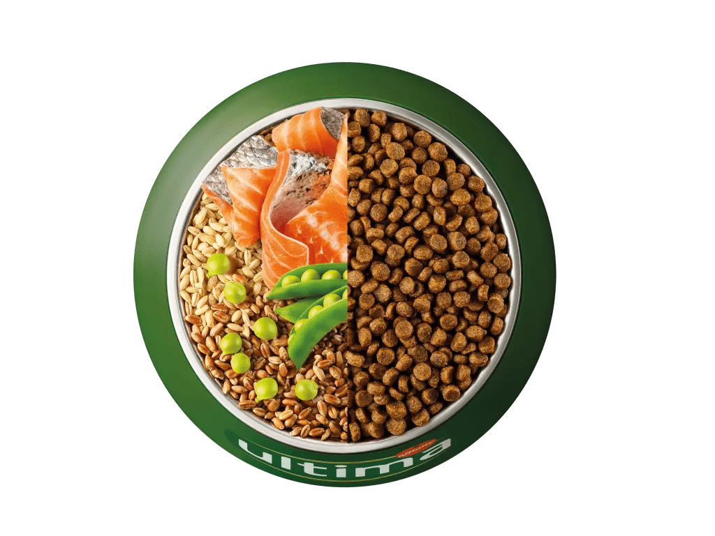 Salm&oacute;, ordi, cereals integrals i p&egrave;sols