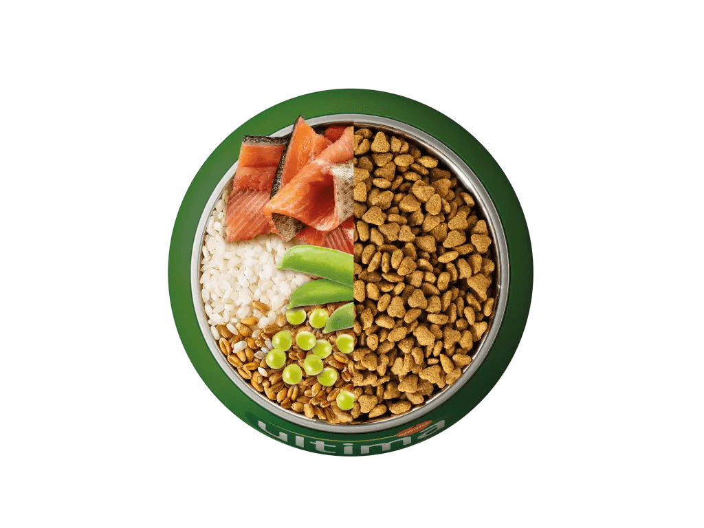 Truita de riu, arr&ograve;s, cereals integrals i p&egrave;sols