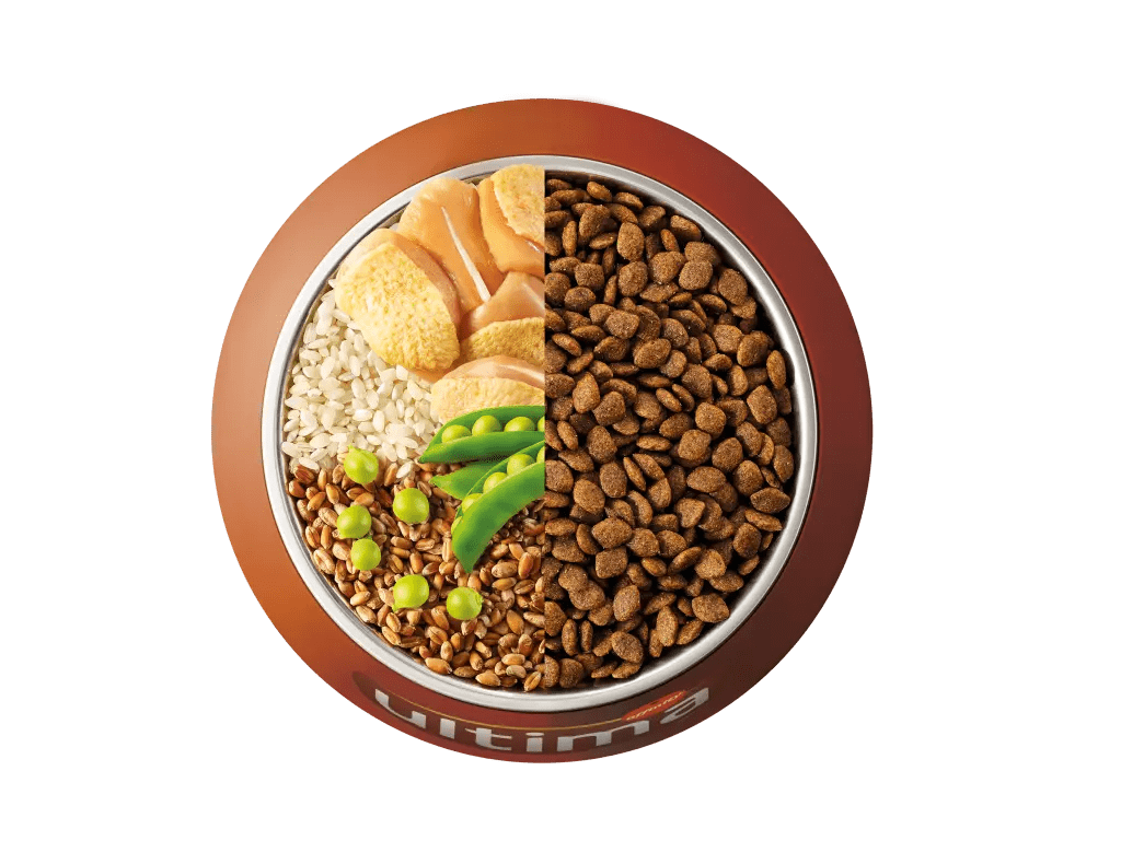 Pollastre, ordi, cereals integrals i p&egrave;sols.