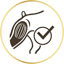 Ajuda a mantenir la seva massa muscular