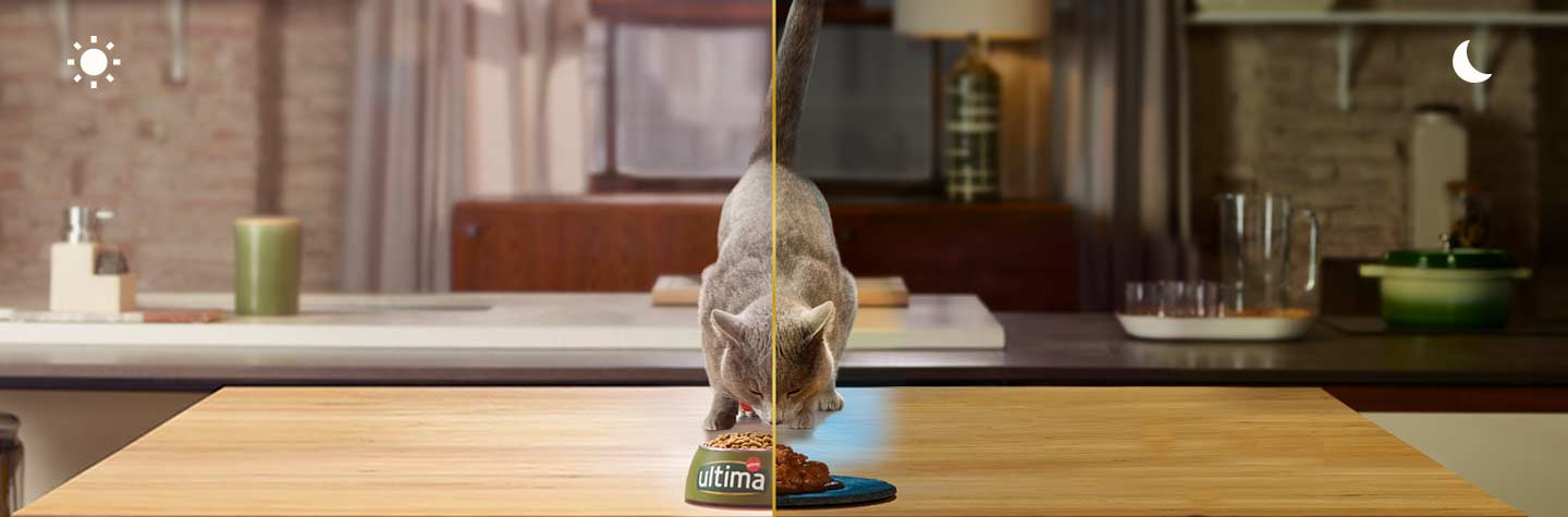 Descobreix i combina les gammes