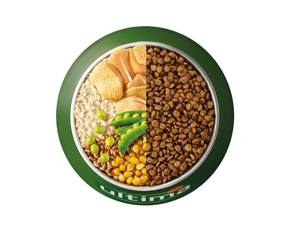 Pollastre, arr&ograve;s, cereals integrals i p&egrave;sols