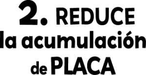 Reduce la acumulaci&oacute;n de placa