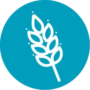 Alt contingut en fibra