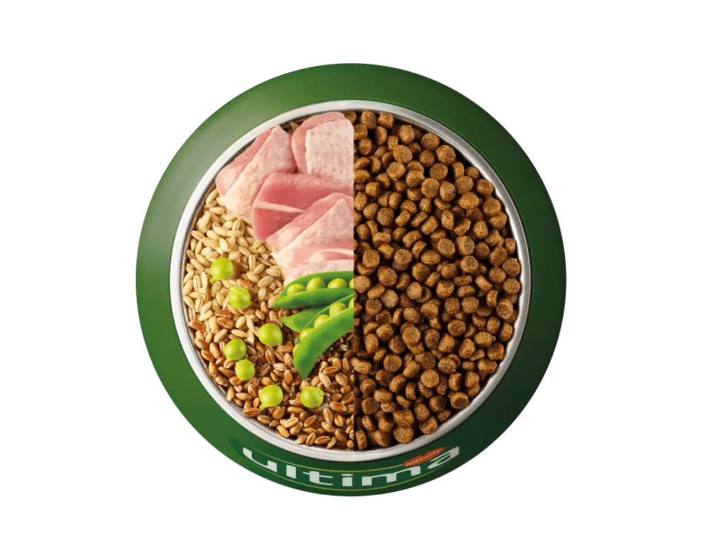 Gall dindi, ordi, blat integral i p&egrave;sols