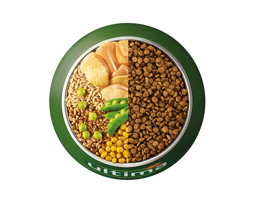 Pollastre, ordi, cereals integrals i p&egrave;sols