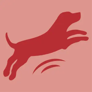 &iexcl;Para un perro feliz!