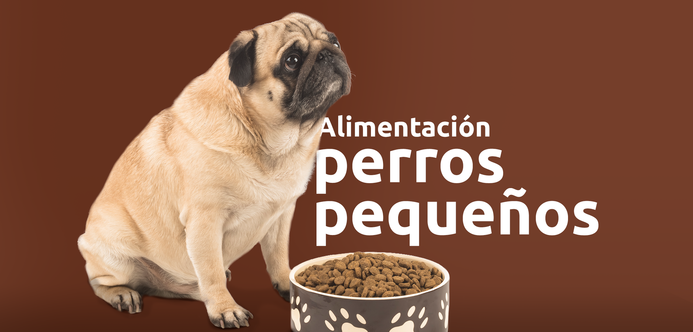 ¿Cuál es la alimentación de un perro pequeño?