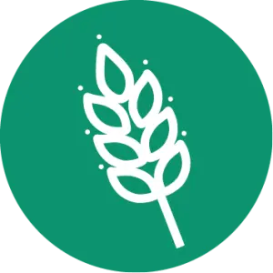 Alt contingut en fibra