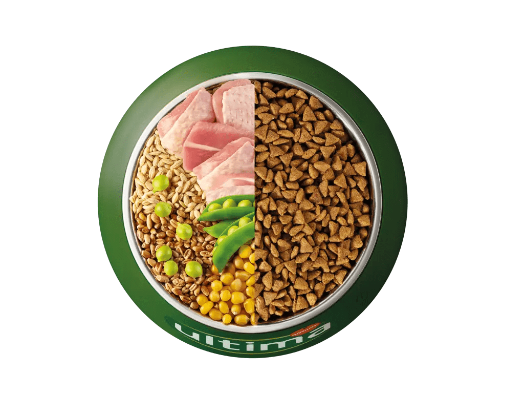 Truita de riu, ordi, cereals integrals i p&egrave;sols