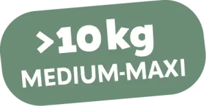 MEDIUM-MAXI > 10 kg