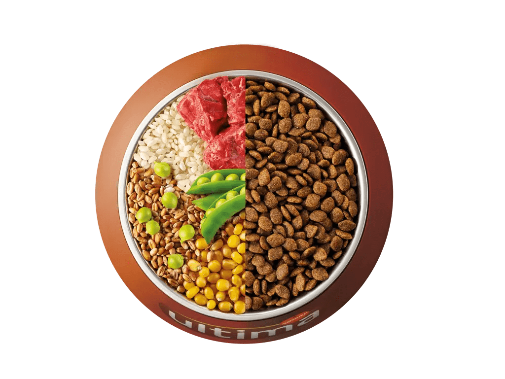 Bou, arr&ograve;s, cereals integrals i p&egrave;sols