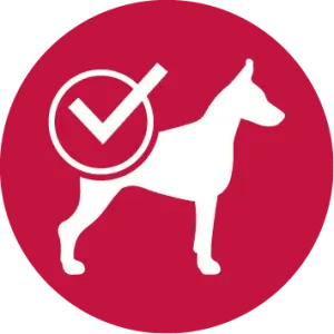 Condici&oacute;n corporal ideal