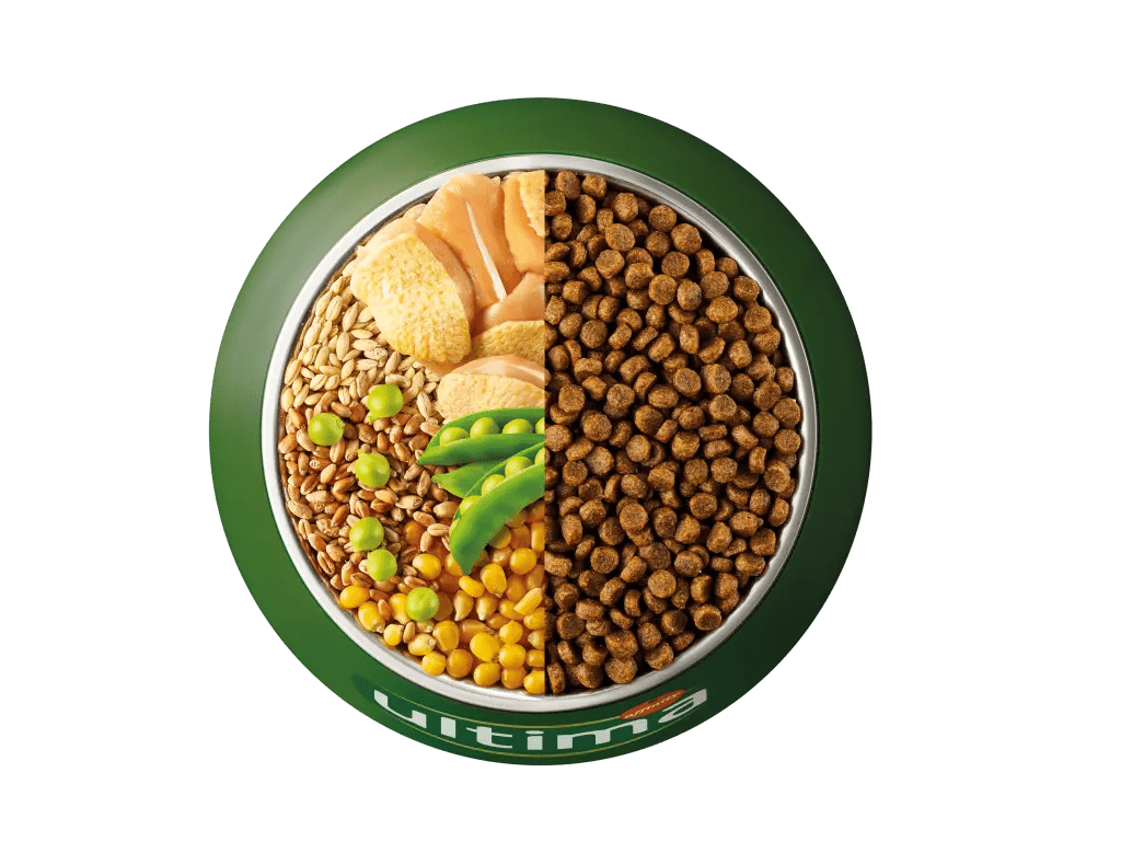 Poulet, orge, bl&eacute; complet et pois