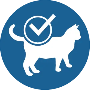 Condition physique id&eacute;ale