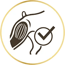 Aide &agrave; maintenir sa masse musculaire