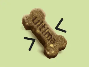 Texture savoureuse & moelleuse