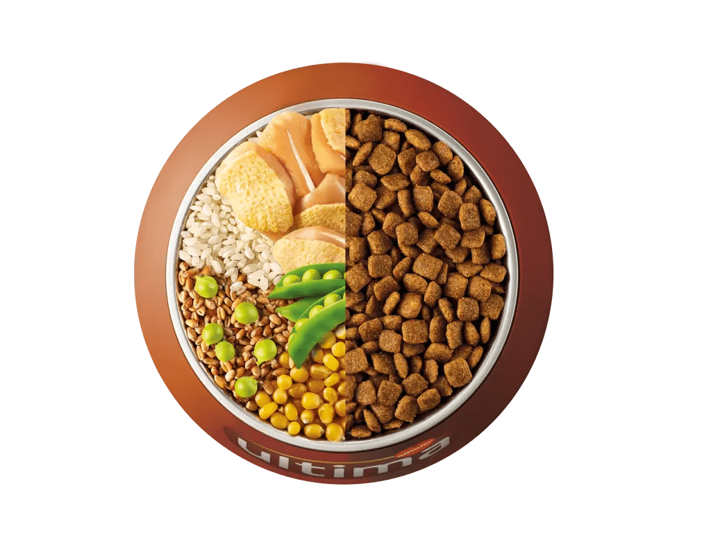 Poulet, riz, c&eacute;r&eacute;ales compl&egrave;tes et pois