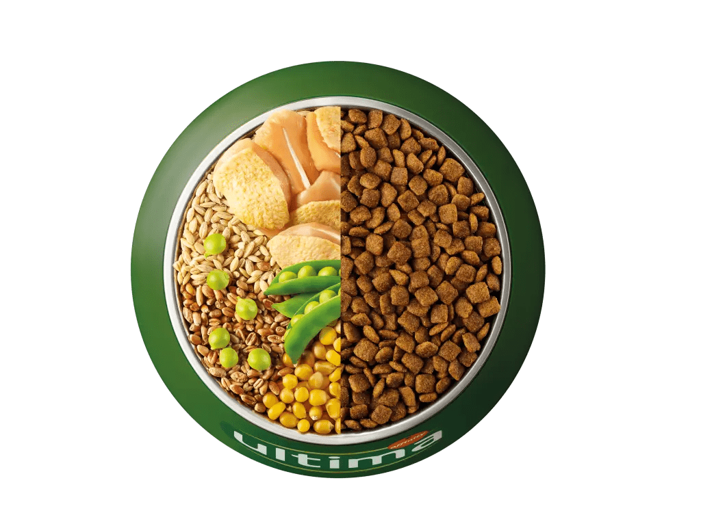 Poulet, orge, c&eacute;r&eacute;ales compl&egrave;tes et pois