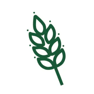 Haute teneur en fibres