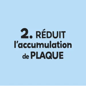 R&eacute;duit l&rsquo;accumulation de plaque