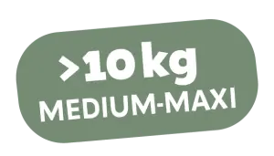 MEDIUM-MAXI >10kg