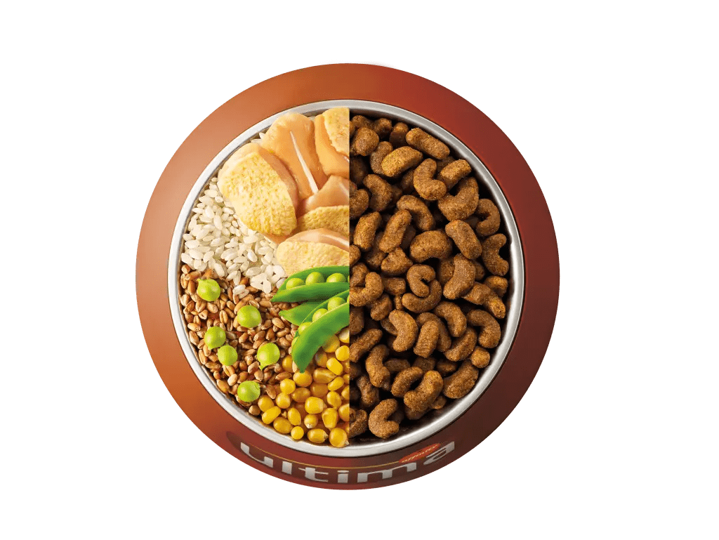 Poulet, riz, c&eacute;r&eacute;ales compl&egrave;tes et pois