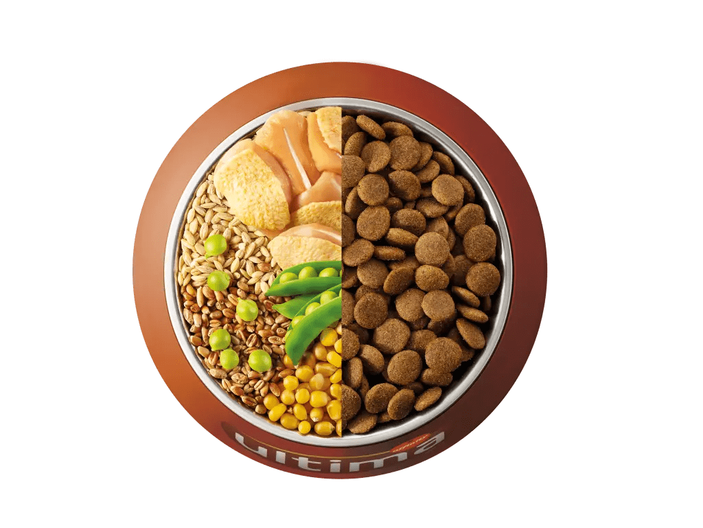 Pollo, orzo, frumento integrale e piselli