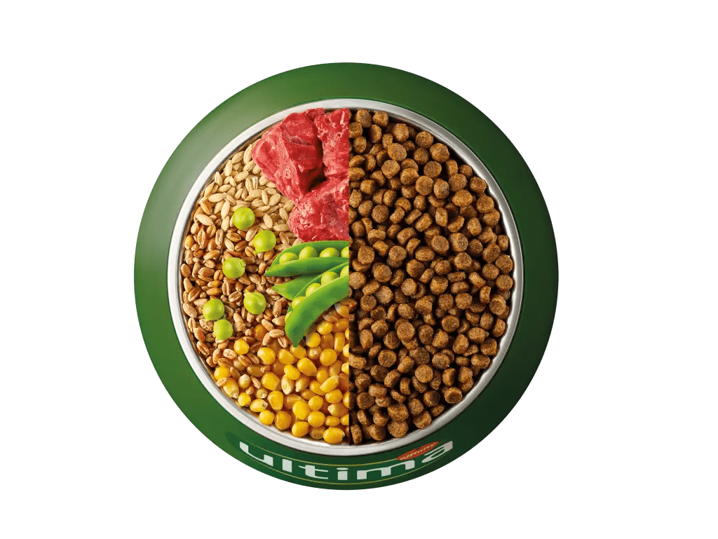 Manzo, orzo, frumento integrale e piselli